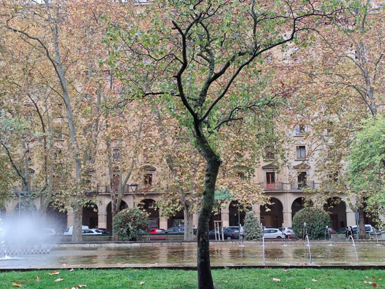 Venta o Alquiler de Oficina en Plaza de la Libertad 10, Pamplona